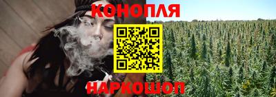 дурь Будённовск