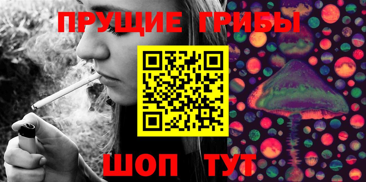 Лесной  Галлюциногенные грибы прущие грибы  Псилоцибиновые грибы Magic Shrooms  Вход с VPN 
